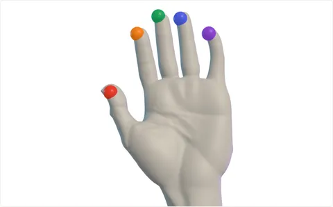 An authored turning study of a hand with five coloured fingertip markers